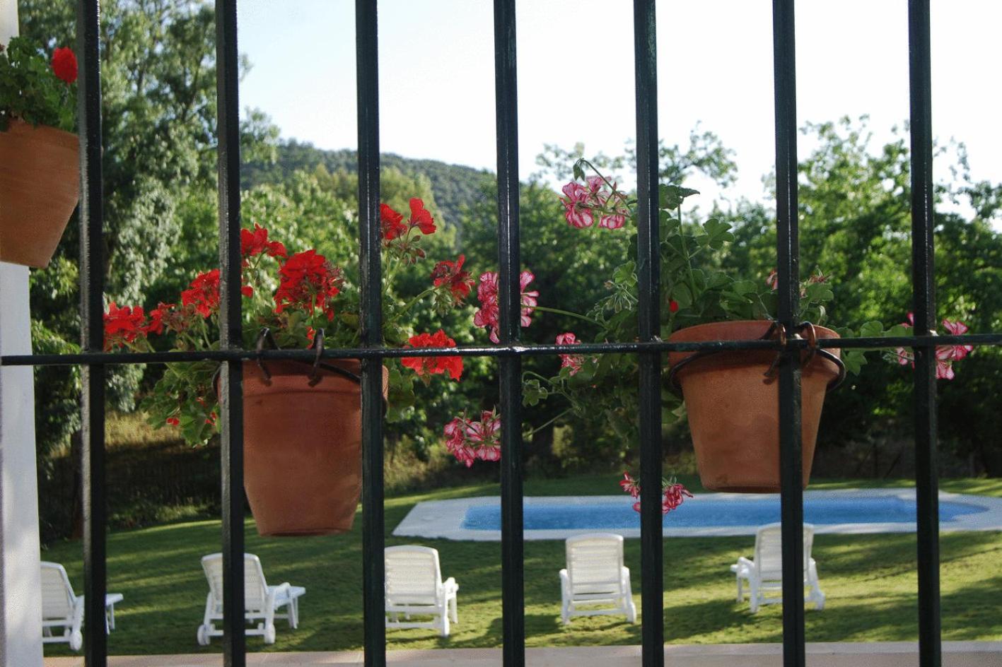 Hotel Apartamento Rural Finca La Media Legua アラセナ エクステリア 写真