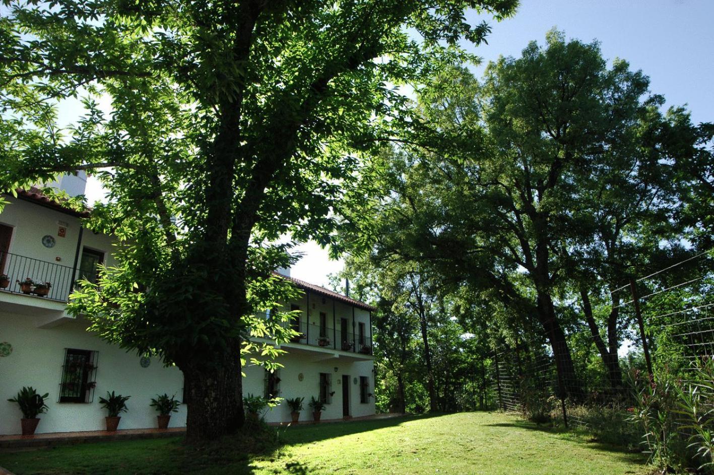 Hotel Apartamento Rural Finca La Media Legua アラセナ エクステリア 写真